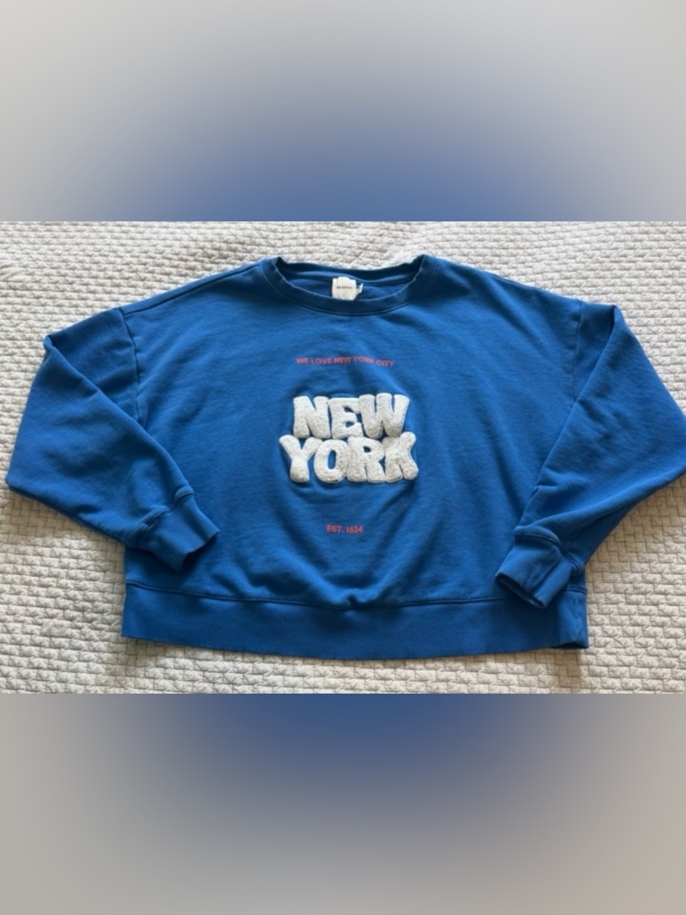Maeve x Kaylee Wakai New York Sweatshirt Blue Oversized Anthropologie Crewneck M